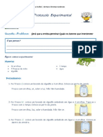 docslide.net_protocolo-experimental-a-princesa-e-a-ervilha.pdf