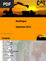 MultiLingual v1.7.pptx