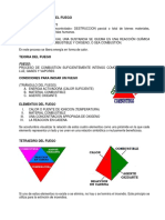 08 Guia Quimica Del Fuego