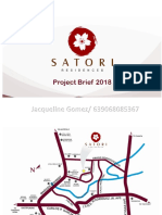 Satori Project Brief