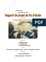 Rapport de Pfe