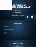 Production of Biodiesel From Algae