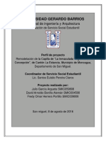 Ejemplo de Perfil de Proy. Ingenieria Civil PDF