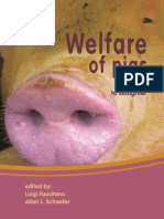 Welfare of Pigs From Birth To Slaughter by Luigi Faucitano Ebook3000 PDF