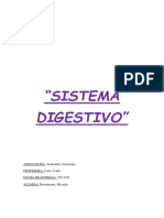 SISTEMA DIGESTIVO.docx