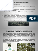 Manejo Forestal y PMF (C-3)