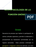 Practica Neuropsicologia General Practica Agnosias