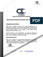 Induccion en Prevencion de Riesgos para PDF