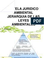 4.- Jerarquia de las leyes ambientales Tutela Jurídico  ambiental.ppt.pptx