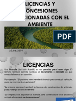 4-Jerarquia de Las Leyes Ambientales Tutela Jurídico Ambiental