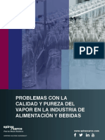 Vapor limpio en alimentación: ¿Cómo evitar peligros de contaminación