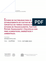 Nopal Detallado PDF