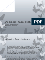 Aparatos Reproductores XLG