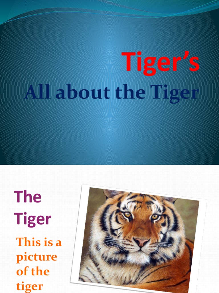 Understanding Tiger Behavior and Care | PDF