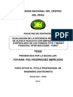Tesis Rodríguez PDF