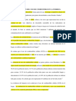 s1 Repercusión Del Uso de Combustible en La Pobreza