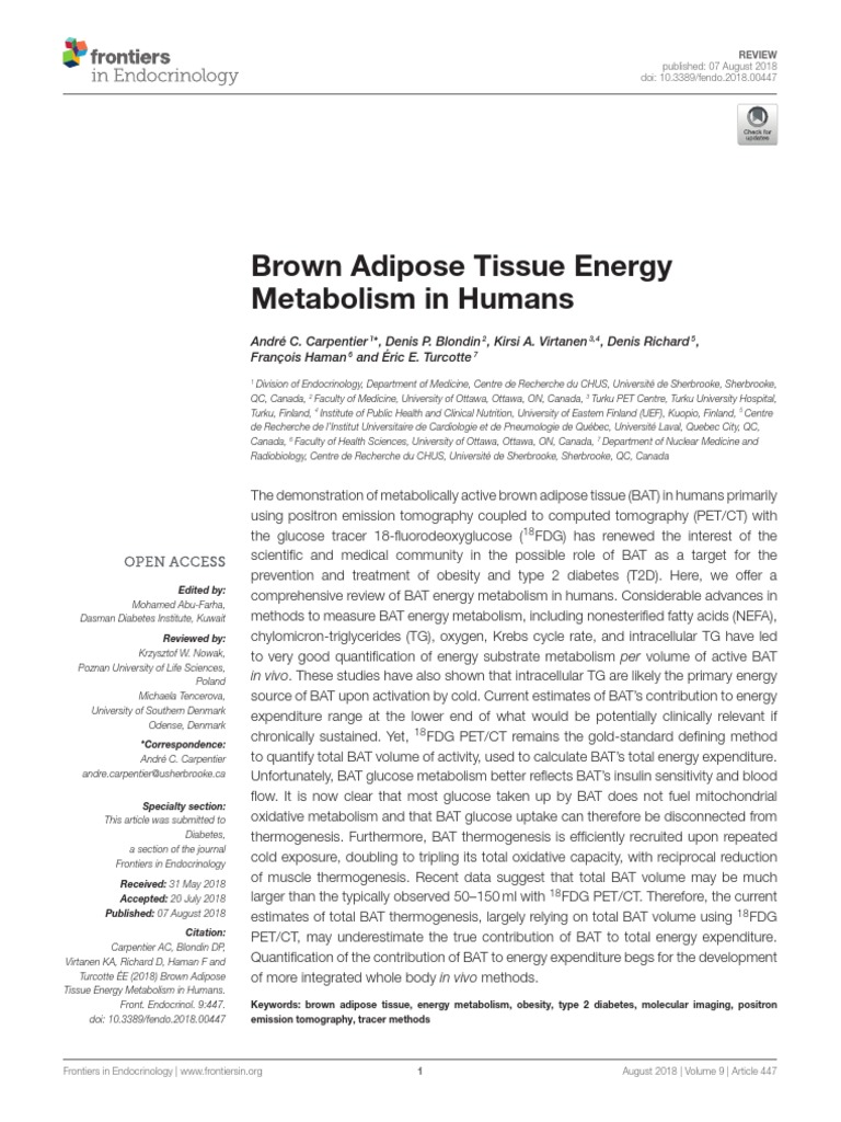 Brown Adipose Tissue Energy | PDF | Adipose Tissue | Positron Emission ...