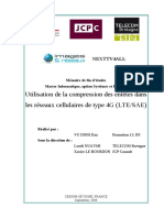 82133958-Rapport-LTE.pdf