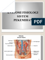 ANATOMI SISTEM PERKEMIHAN.pptx