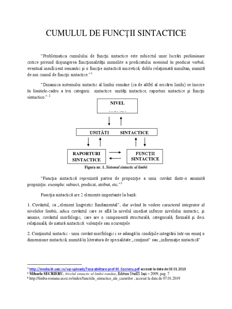 Cumulul De Functii Sintactice