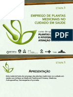 C1_E1_PPT_Emprego_de_Plantas_Medicinais.pdf