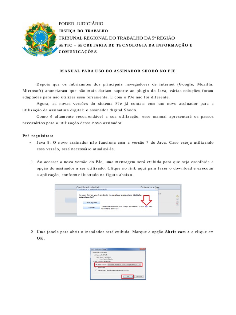 Tutorial Shodo v2 PDF | PDF