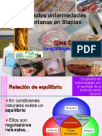 Principales_enfermedades_bacterianas_en_tilapias-Dra._Gina_C.pdf