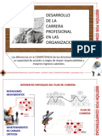 plan carrera.ppt