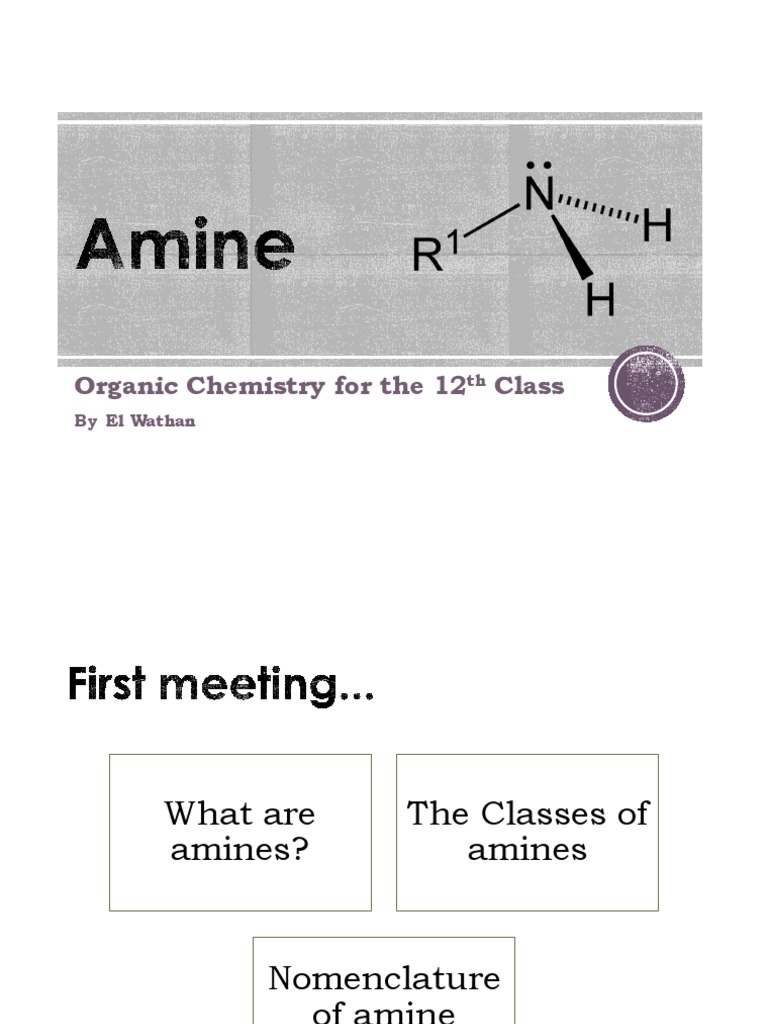 Understanding Amines in Organic Chemistry | PDF