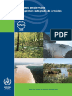 Aspectos Ambientales de La Gestion Integrada de Crecidas PDF