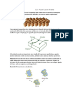 Adsorción by Me PDF