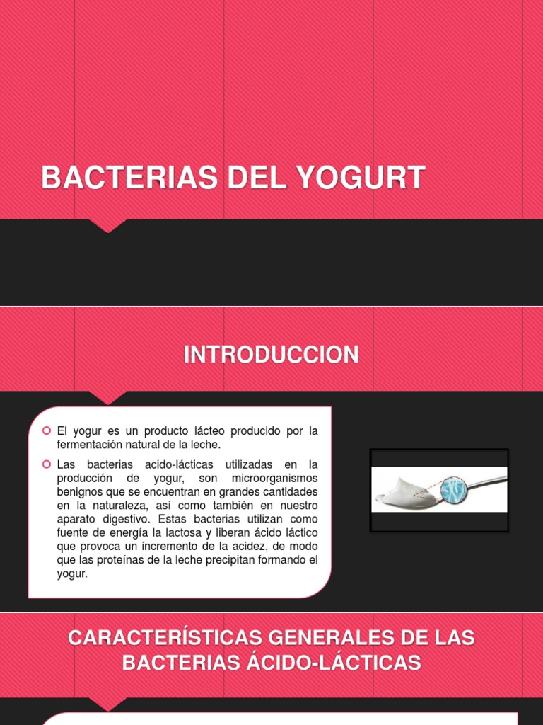 Bacterias Del Yogurt | PDF | Yogur | Las bacterias