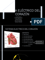 Sistema Electrico Del Corazón