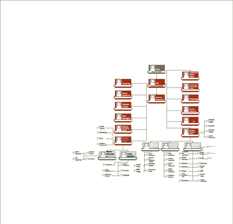 Hospital Organizational Structure Chart | PDF | Nursing | Medicine
