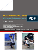 01 Entrenamiento de La Flexibilidad PDF