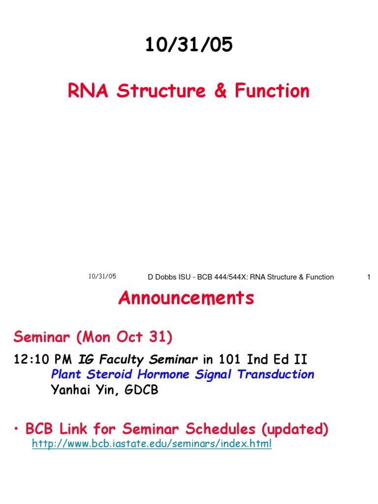RNA Structure and Function Overview | PDF | Rna Splicing | Rna