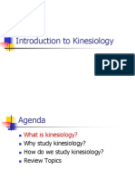 Introduction to Kinesiology Fundamentals