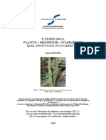 Memoire Ayahuasca PDF