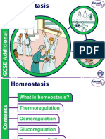 2282-8. Homeostasis v1.0