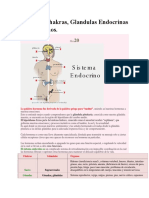 Chakras y Endocrino