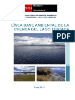 Linea de Base Anbiental Cuenca del Lago Tititcaca.doc