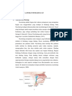 LP Nasoparing