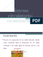 Cicatriz Acion