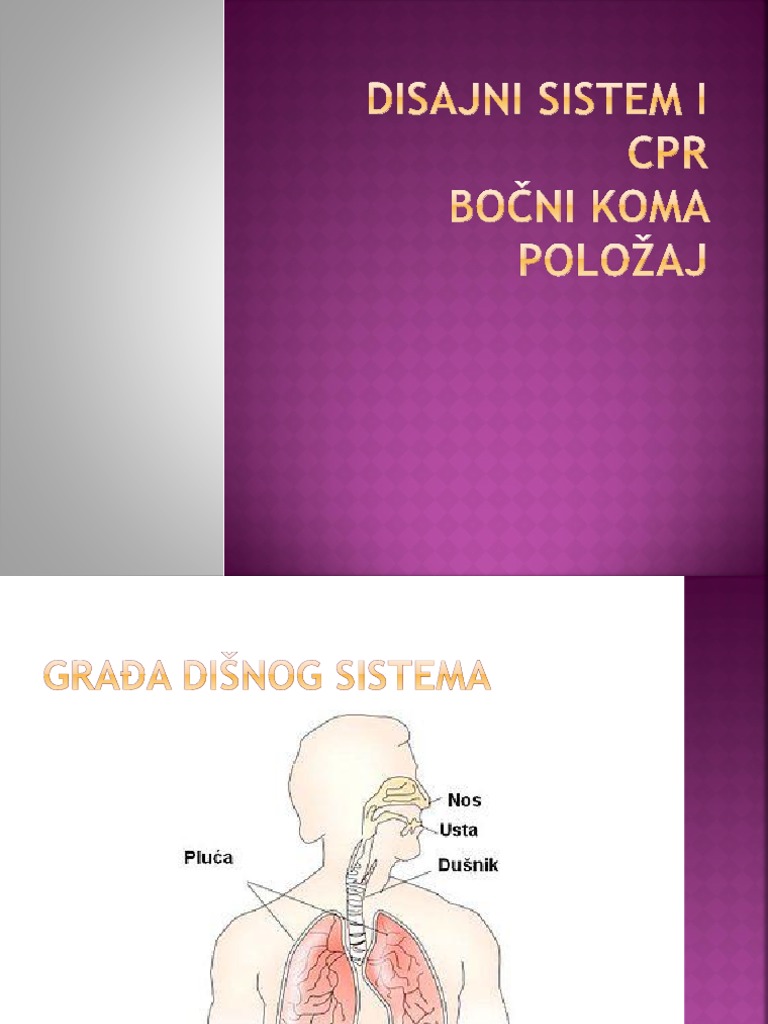 Disajni Sistem, KPR | PDF