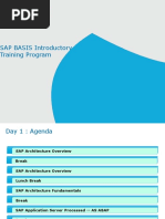 1.SAP BASIS Introductory Training Program - Day 1