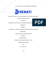 Senati-Original Proyecto