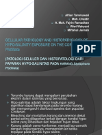 Ppt Histo Klp 8 Pak Dodi