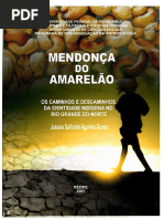 DISSERT. OS CAMINHOS E DESCAMINHOS DA IDENTIDADE INDÍGENA NO RIO GRANDE DO NORTE.pdf