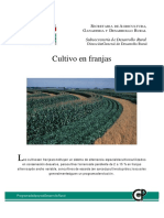 Cultivo en franjas.pdf