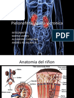 Pielonefritis Aguda y Cronica